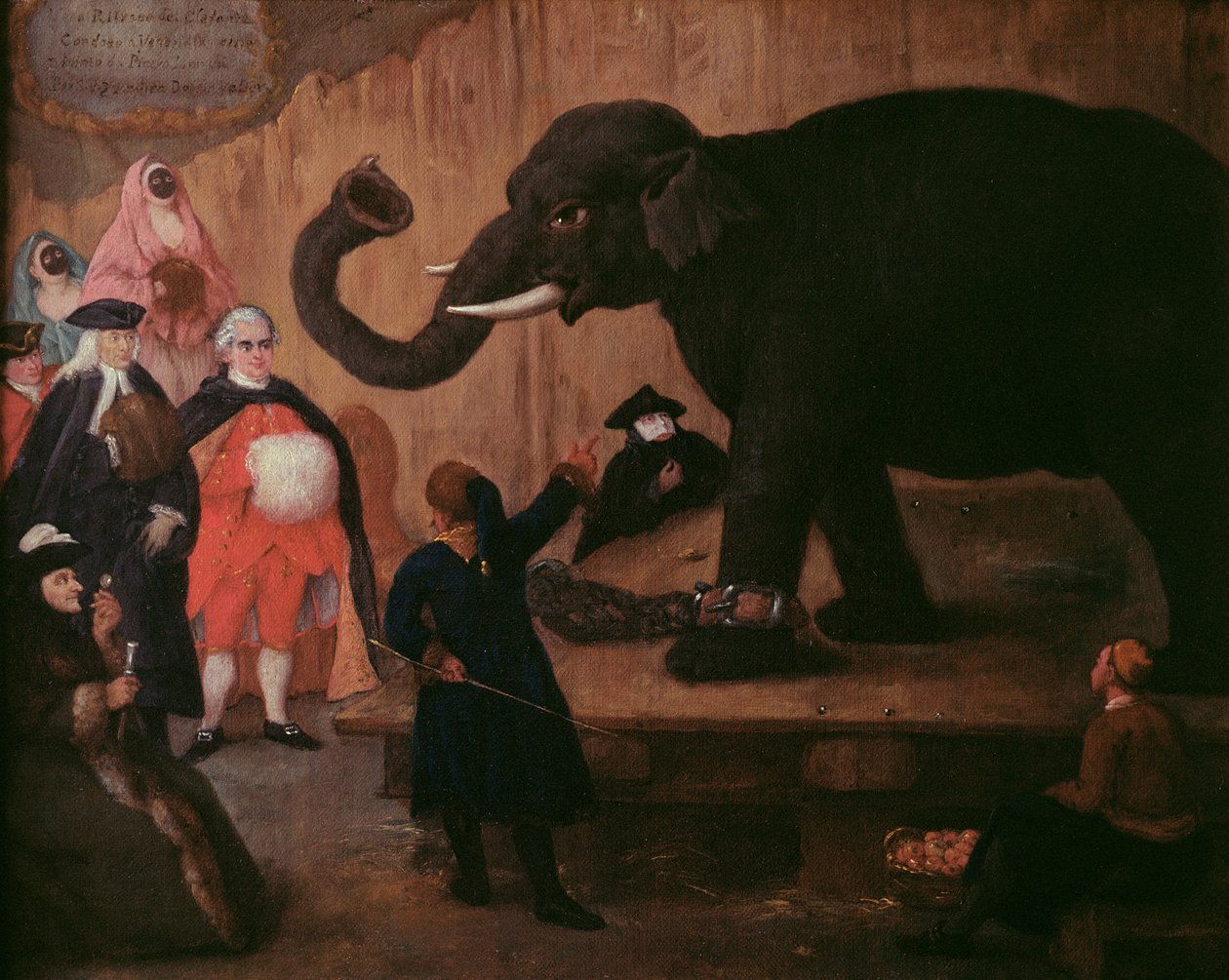 An Elephant Shown in Venice by Pietro Longhi