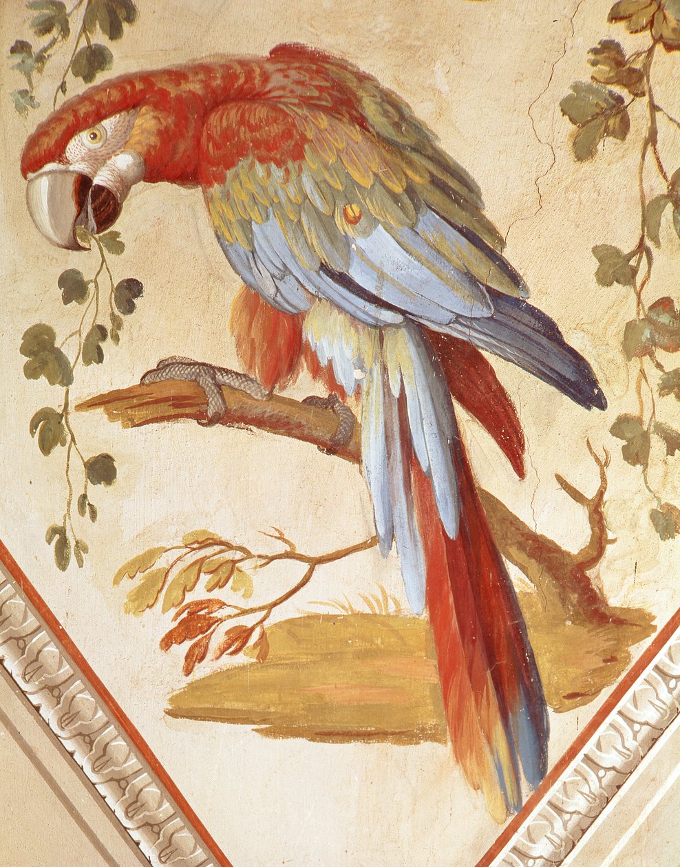 A Parrot (mural) by Pietro Rotati