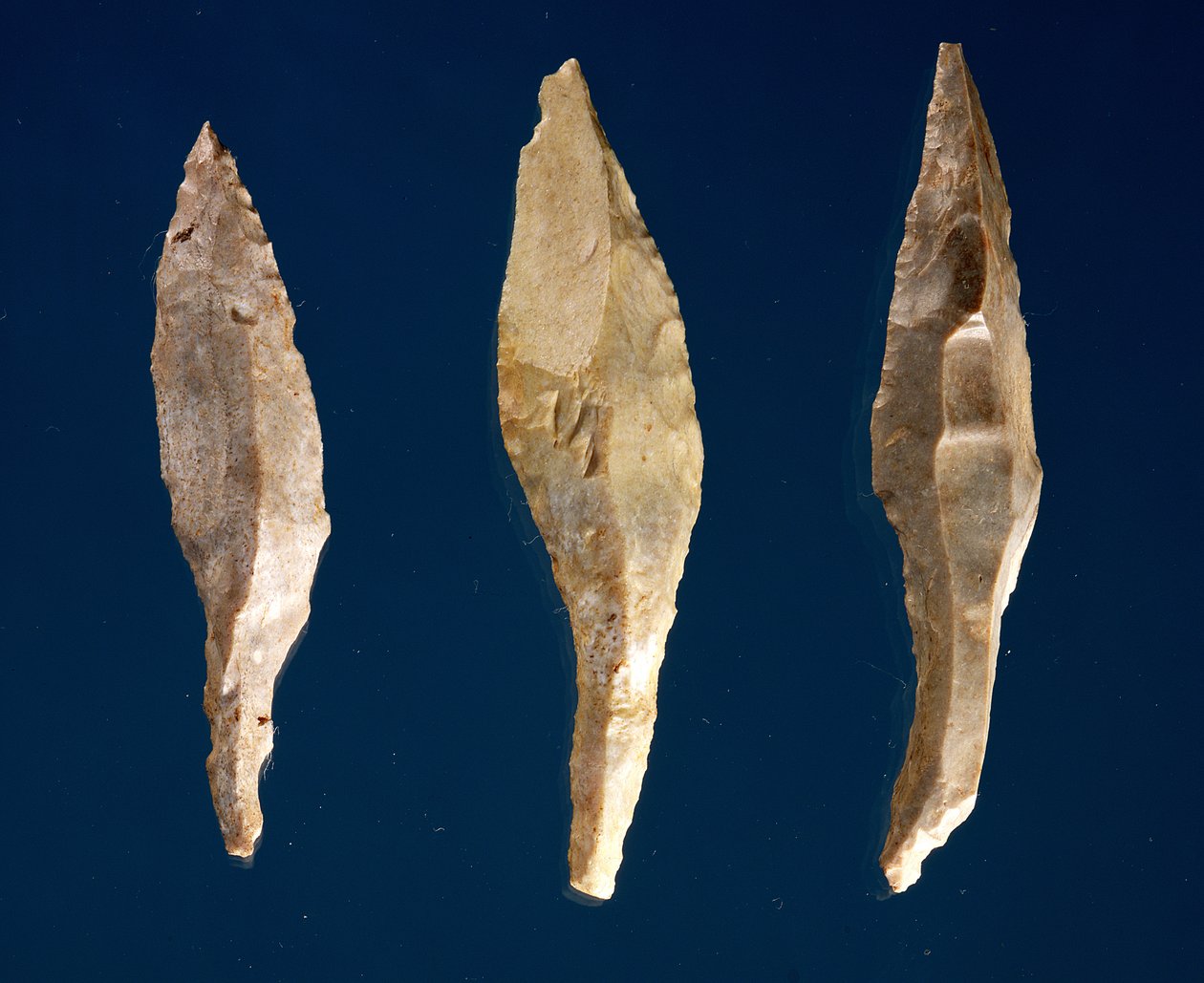 Three arrow heads by Prehistoric