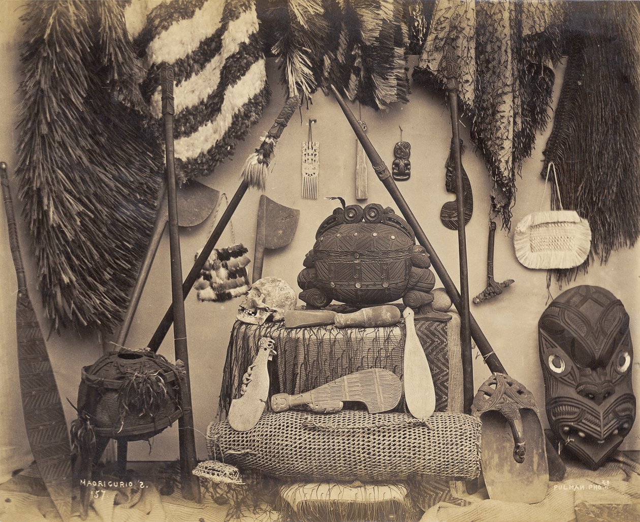Maori Curios by Pulman Studio
