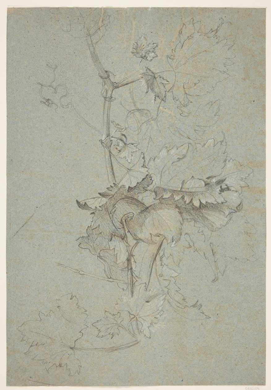 Plant Study by Rachel Ruysch