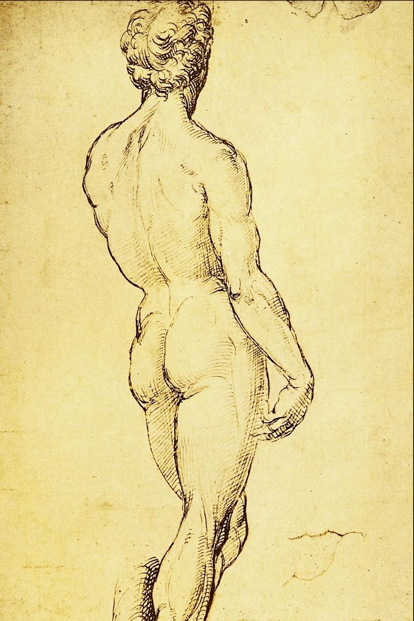 Study of Nude by Raffaello Sanzio Raphael