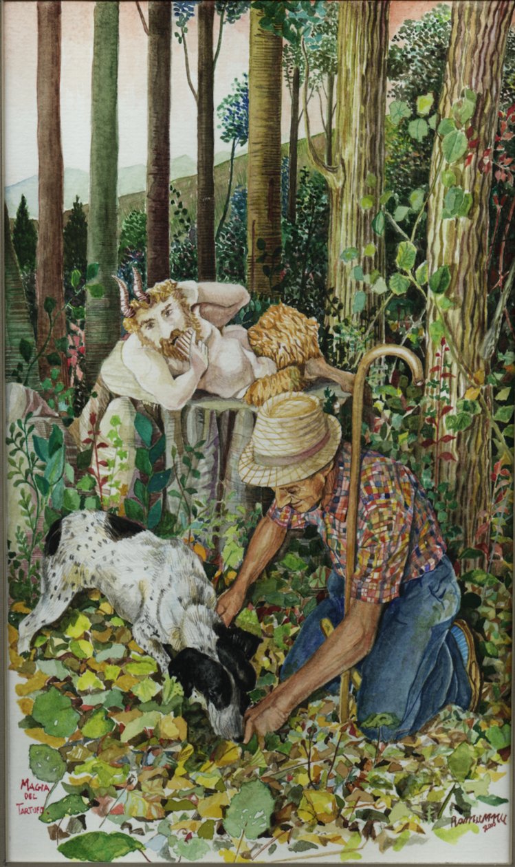 The Magic of the Truffle by Raimondo Gambino