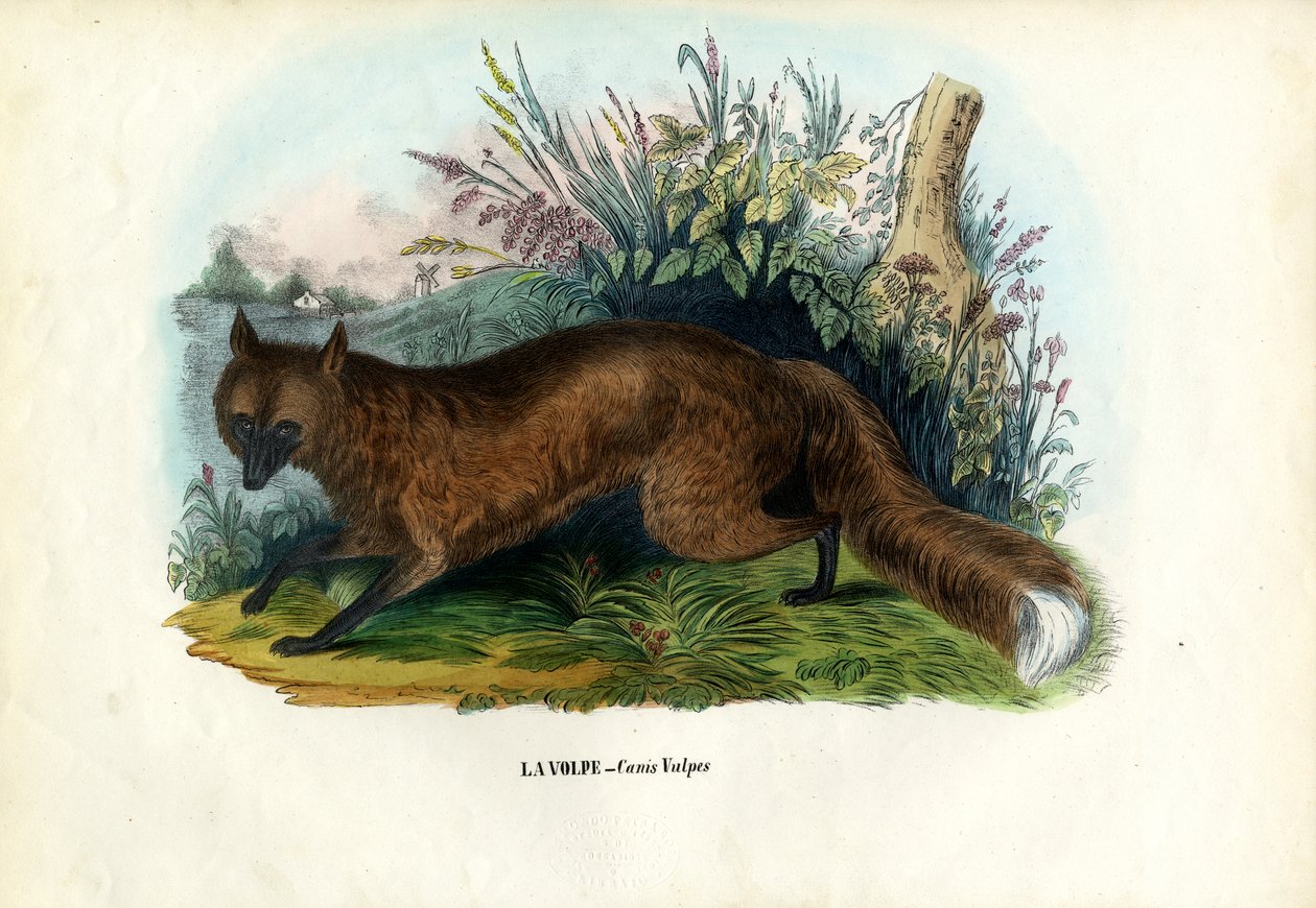 Red Fox, 1863-79 by Raimundo Petraroja