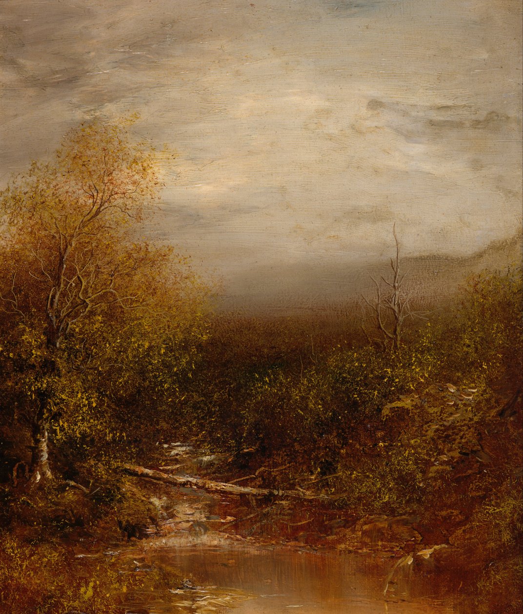 Pool in the Adirondacks by Ralph Albert Blakelock