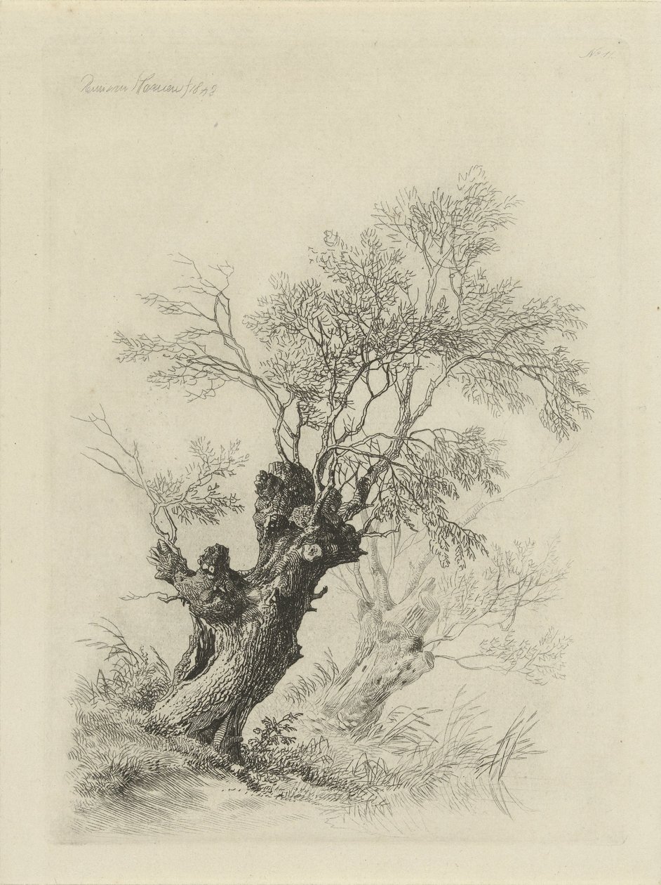 Willow Tree by Remigius Adrianus Haanen
