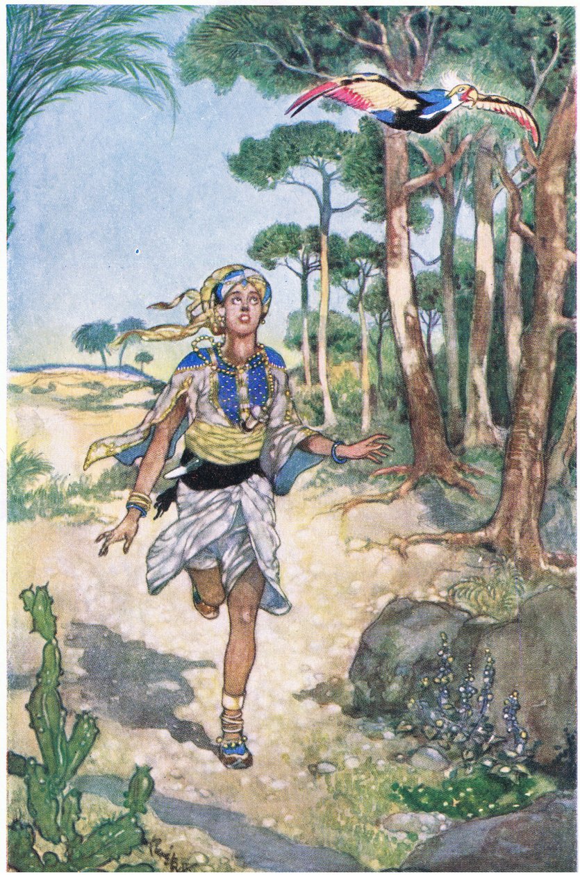 Next morning he followed the bird as it flew from tree to tree by René Bull