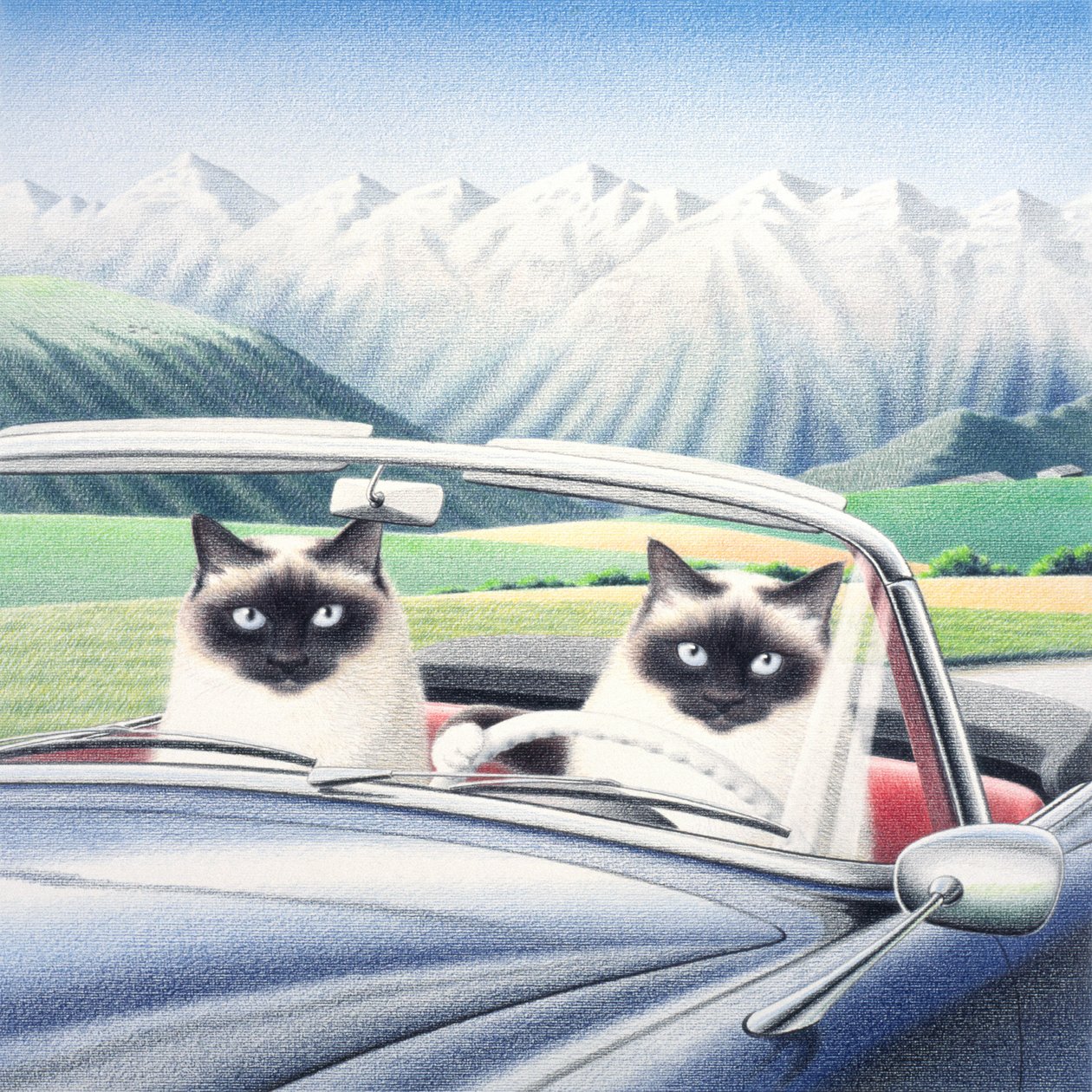 Driving around by Rene Boin