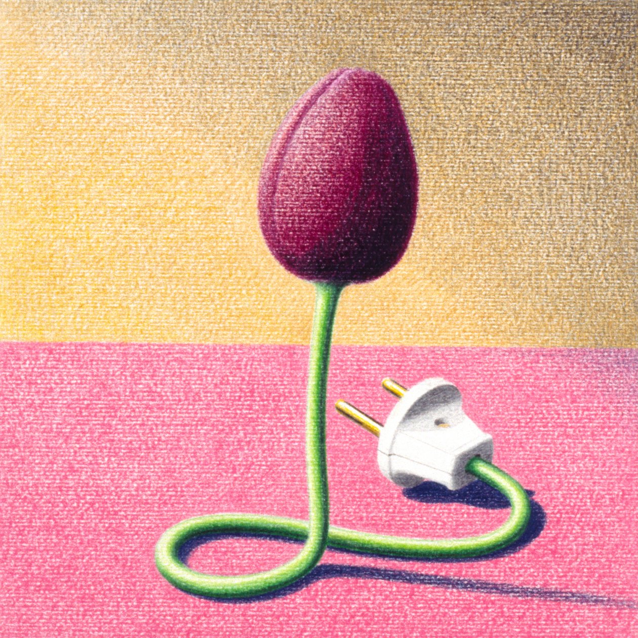 Electric Tulip by Rene Boin