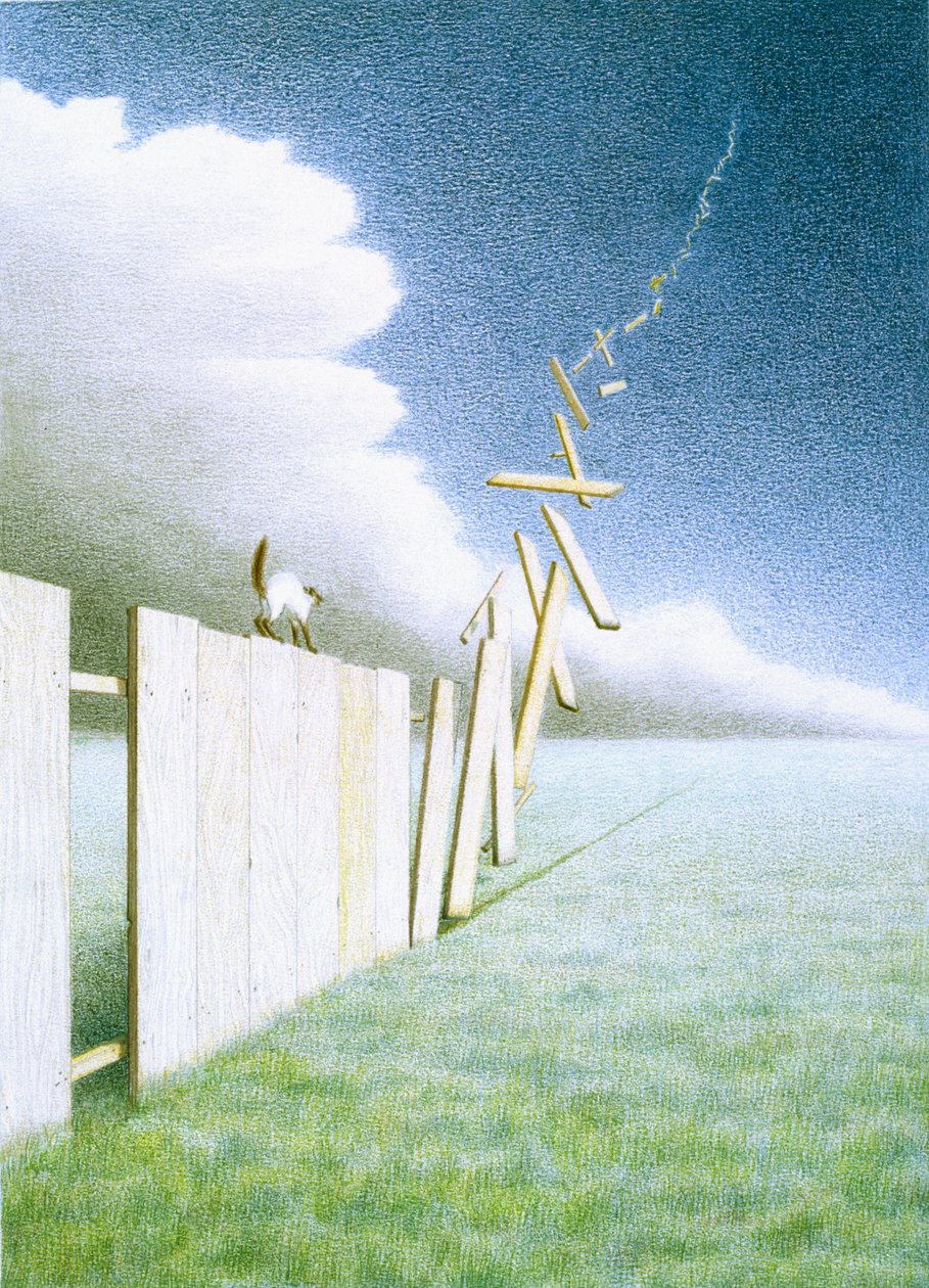 Fence by Rene Boin