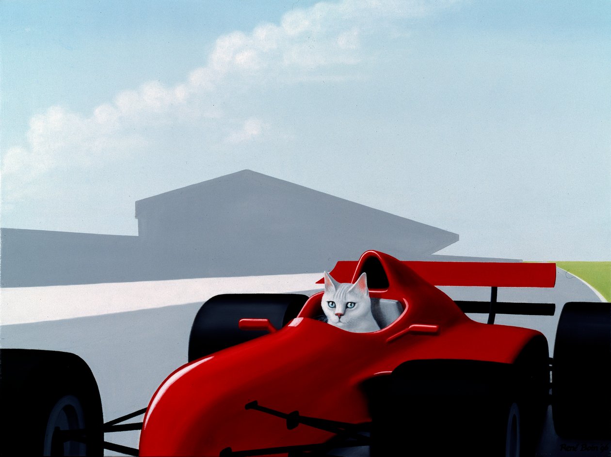 Formula 1 Cat by Rene Boin