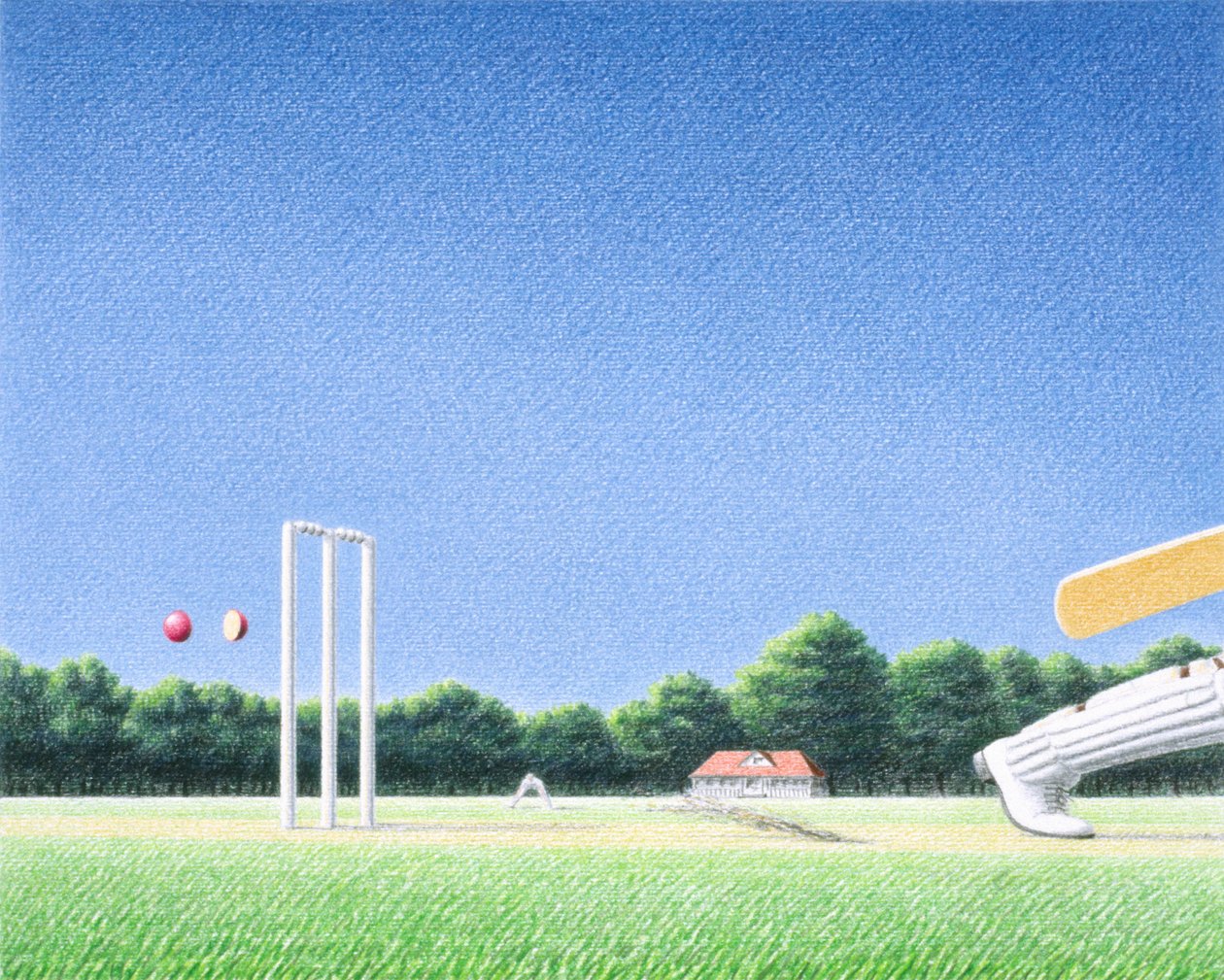 Wicket by Rene Boin