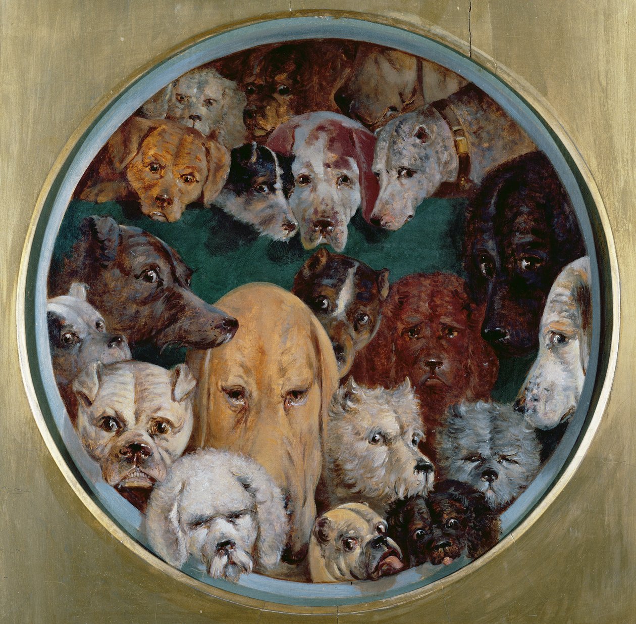 Twenty Dogs by Reuben Bussey