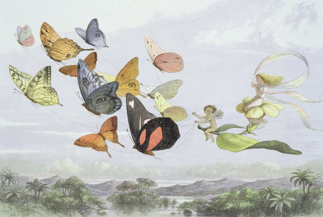 The Fairy Queen