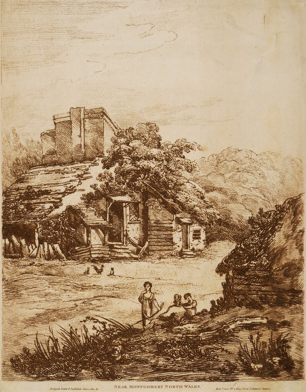 View near Montgomery by Richard Sass