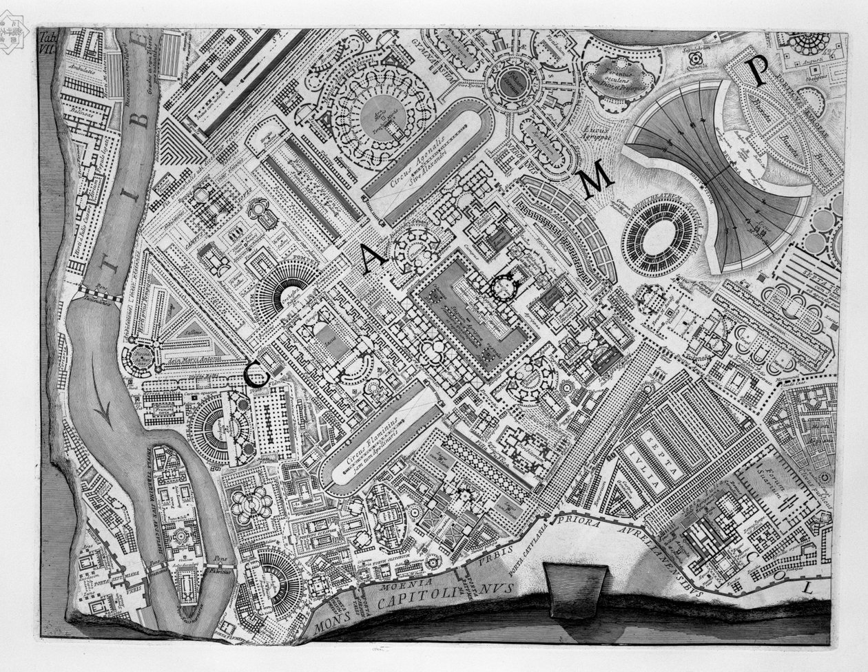 Map of Campus Martius by Robert Adam