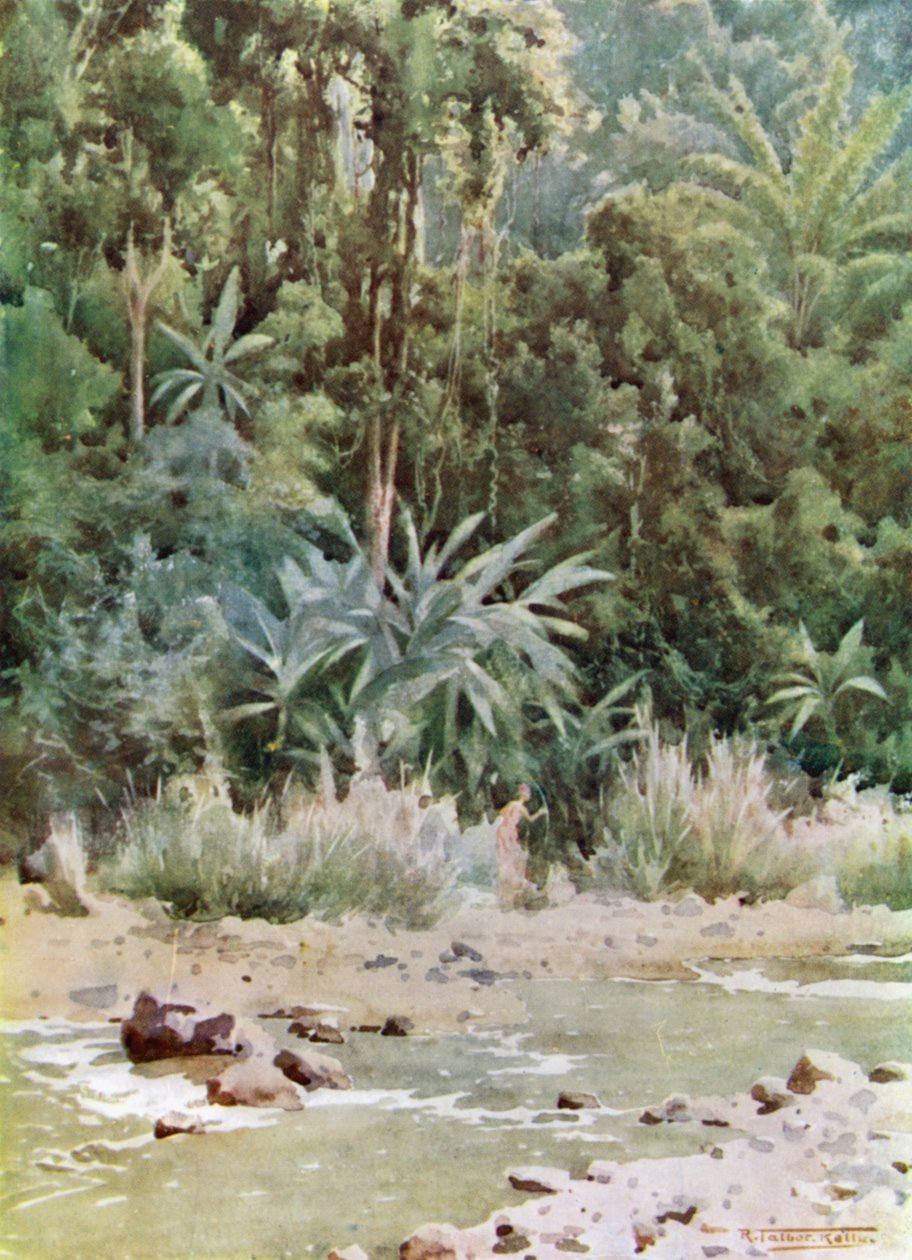 A Jungle Stream by Robert George Talbot Kelly