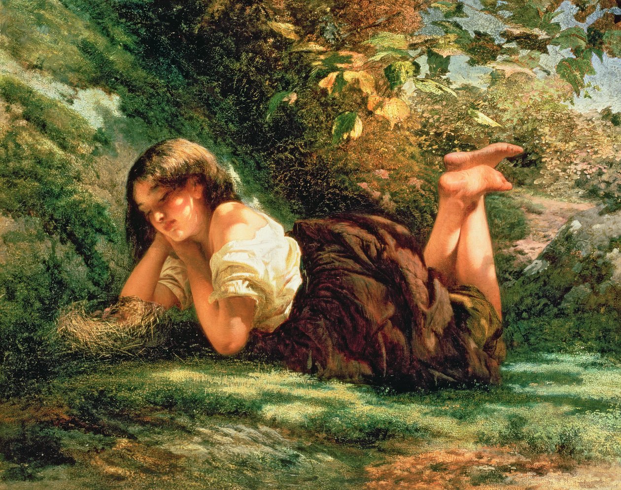 The Nest by Robert RSA Gavin