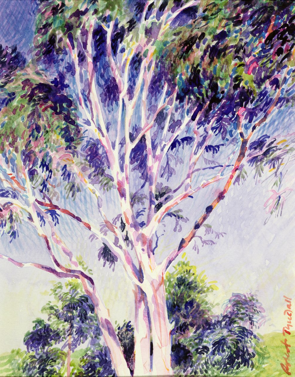 Gum Tree, Australia by Robert Tyndall