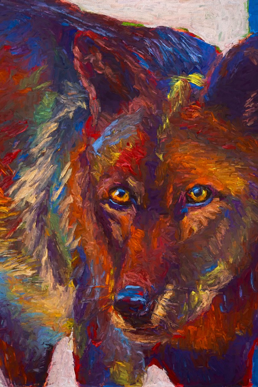Stare Down by Roberta Murray