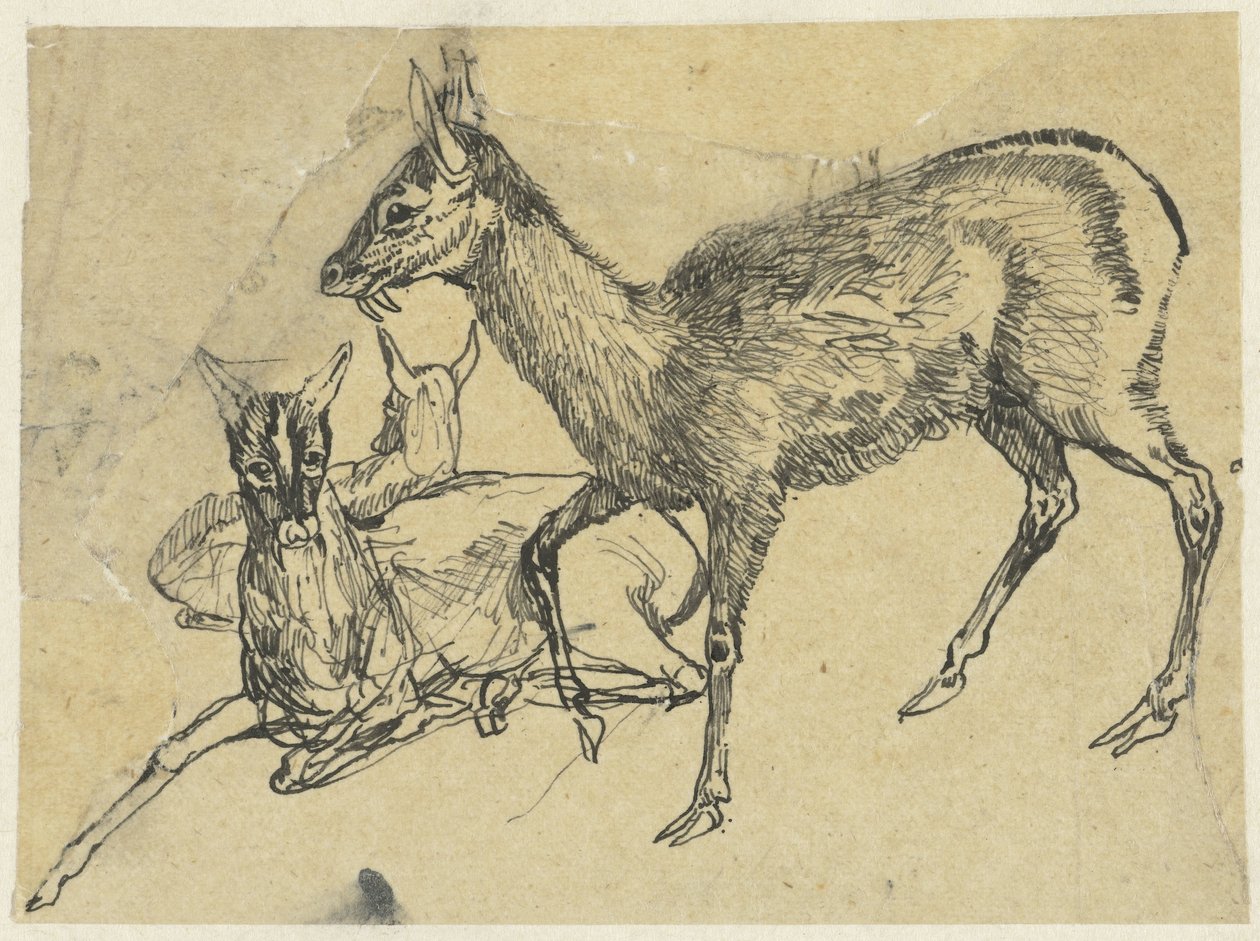 Three Deer by Rodolphe Bresdin