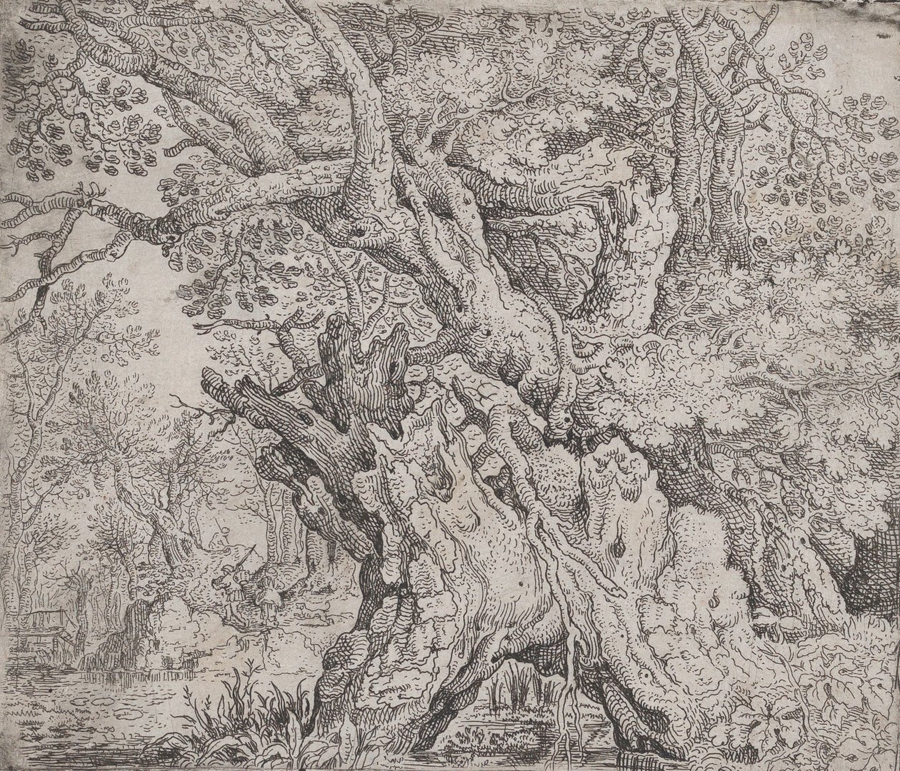 Gnarled Tree by Roelandt Savery