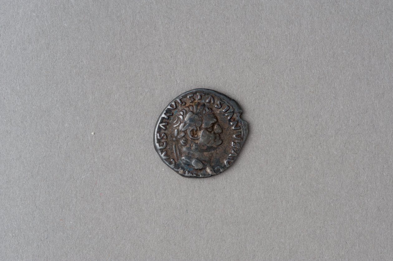 Denarius of Vespasian by Roman