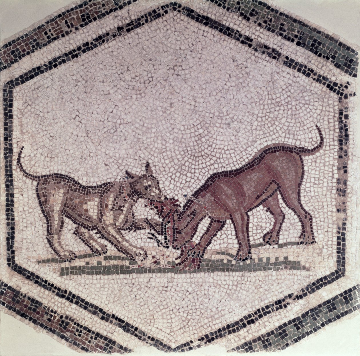 Dogs Fighting for a Bird, Roman, 2nd-3rd Century by Roman