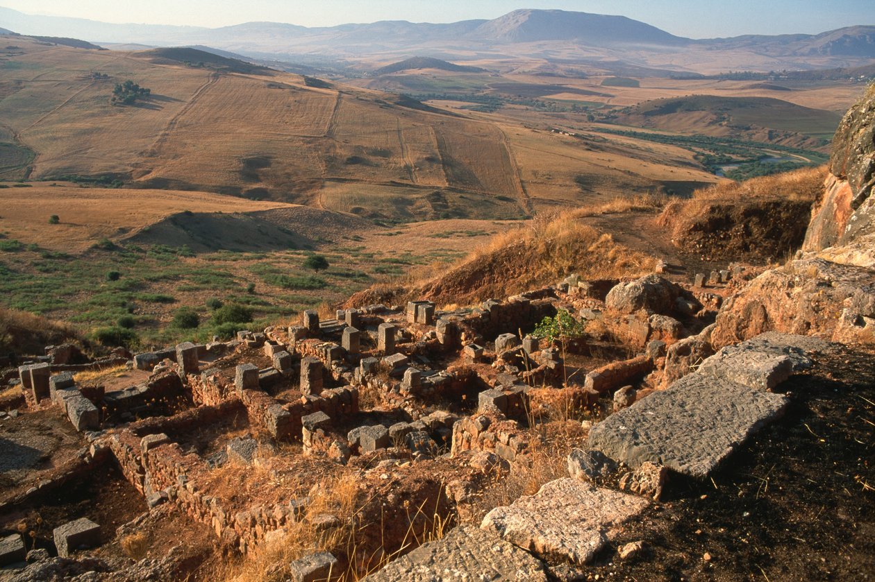 General View of the Site by Roman