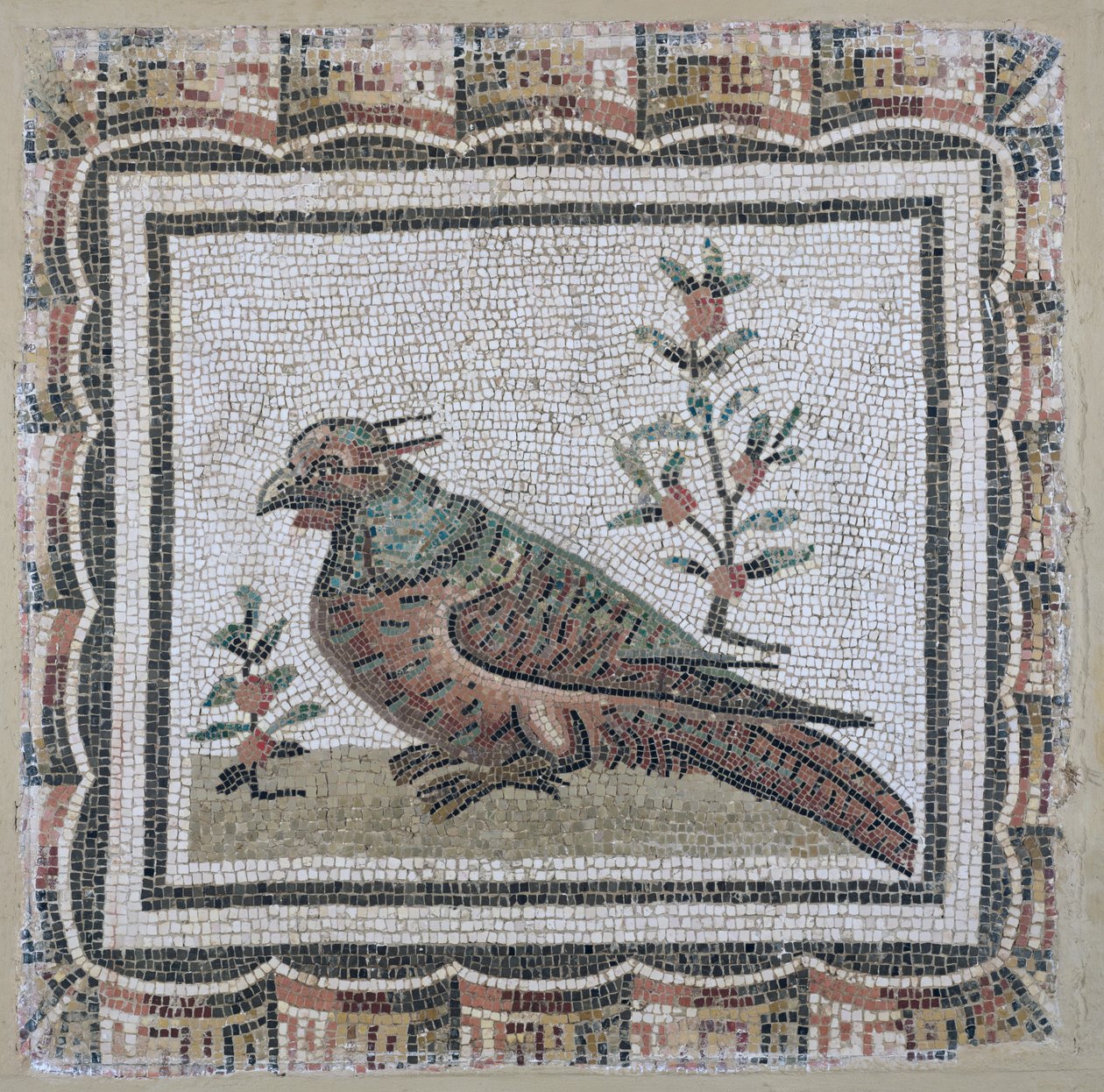 Pavement depicting a pheasant by Roman