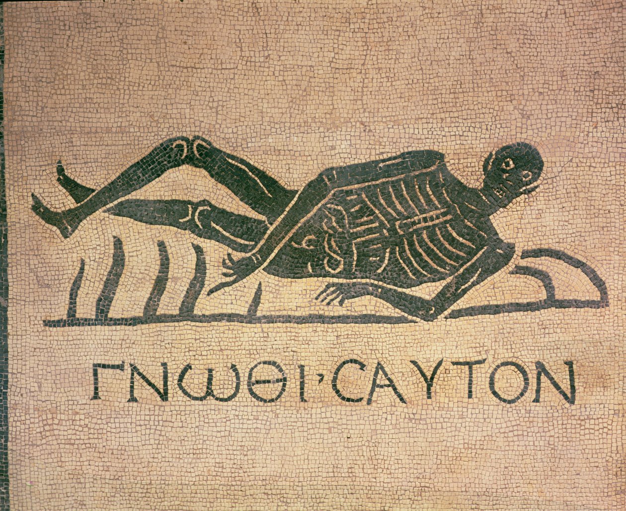 Reclining Skeleton with the Caption 