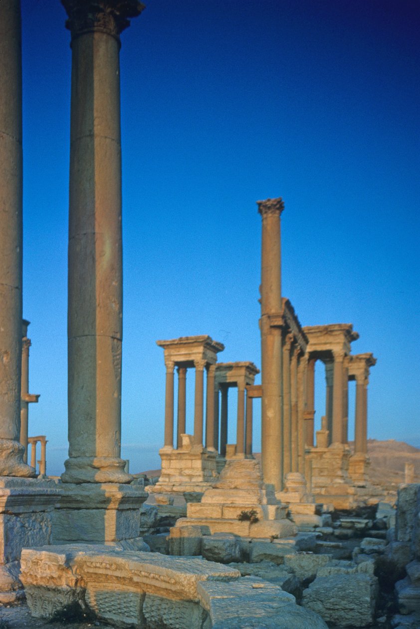 Remains of Columns on the Colonnaded Street by Roman