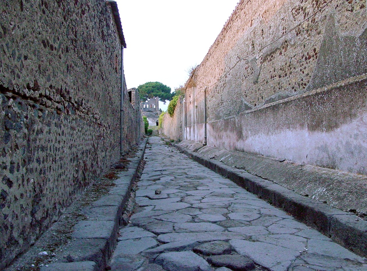 View of a Street by Roman