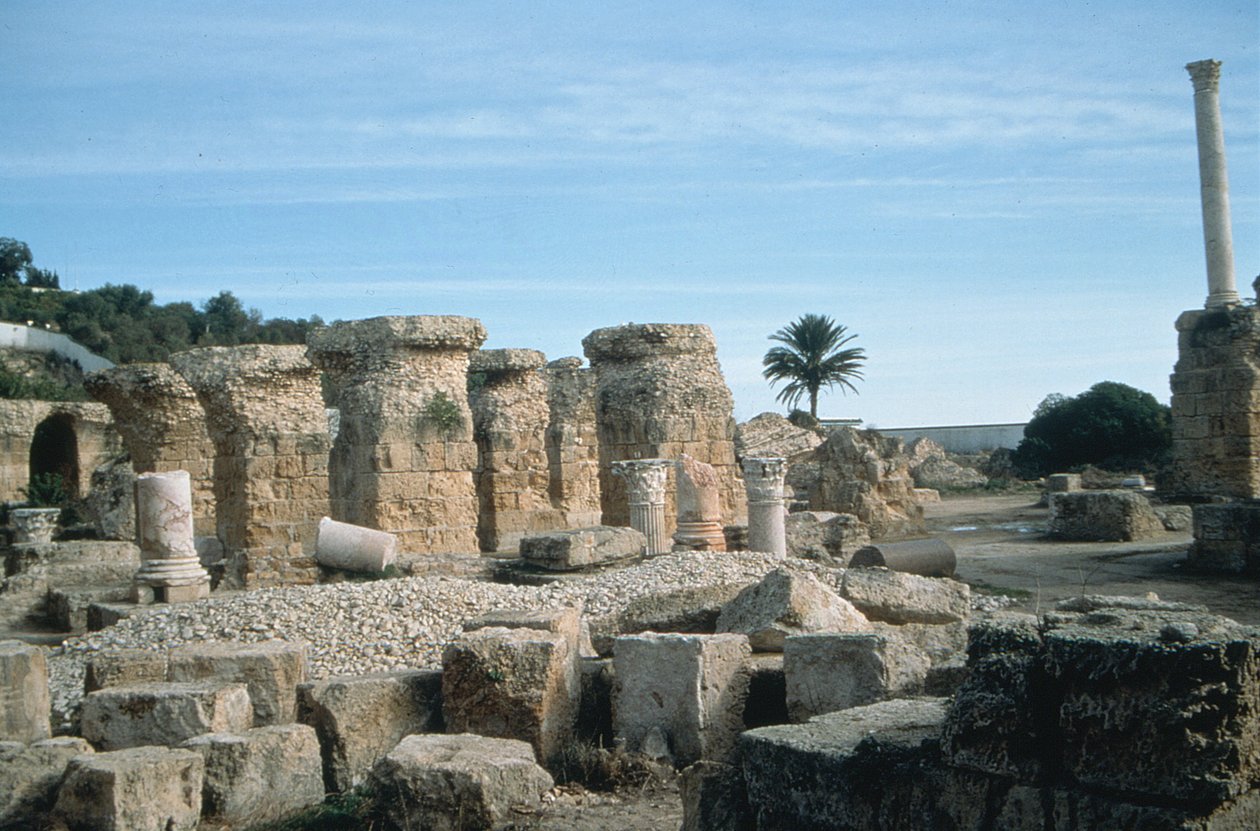 View of ruins by Roman