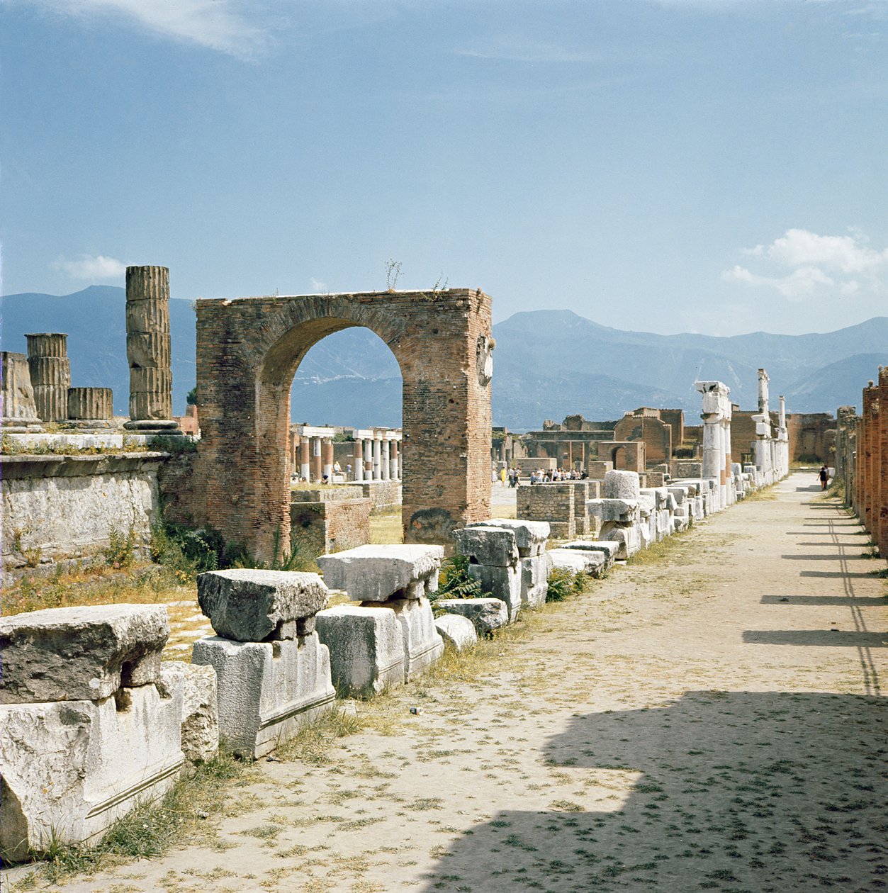 View of the Forum with the mountains in the background by Roman