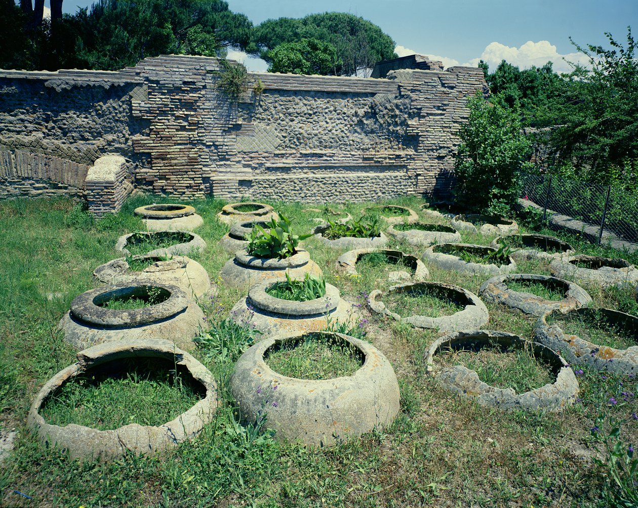 View of the shops by Roman