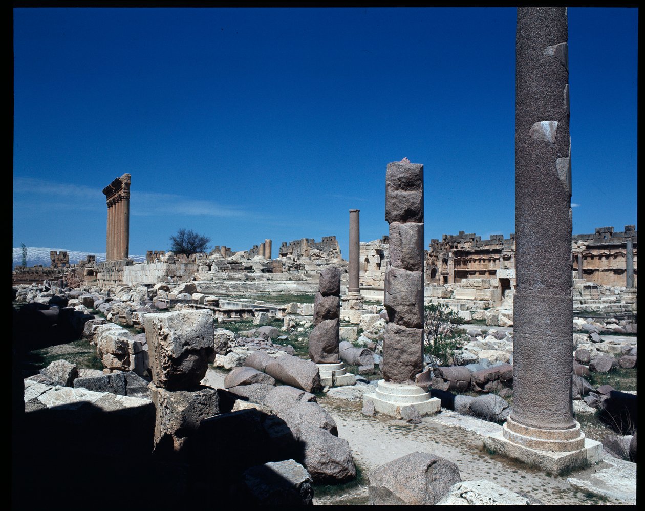 The Six Columns at the Temple of Jupiter by Roman