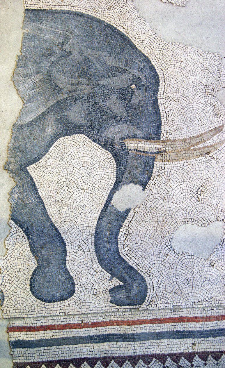 Unknown Image by Roman