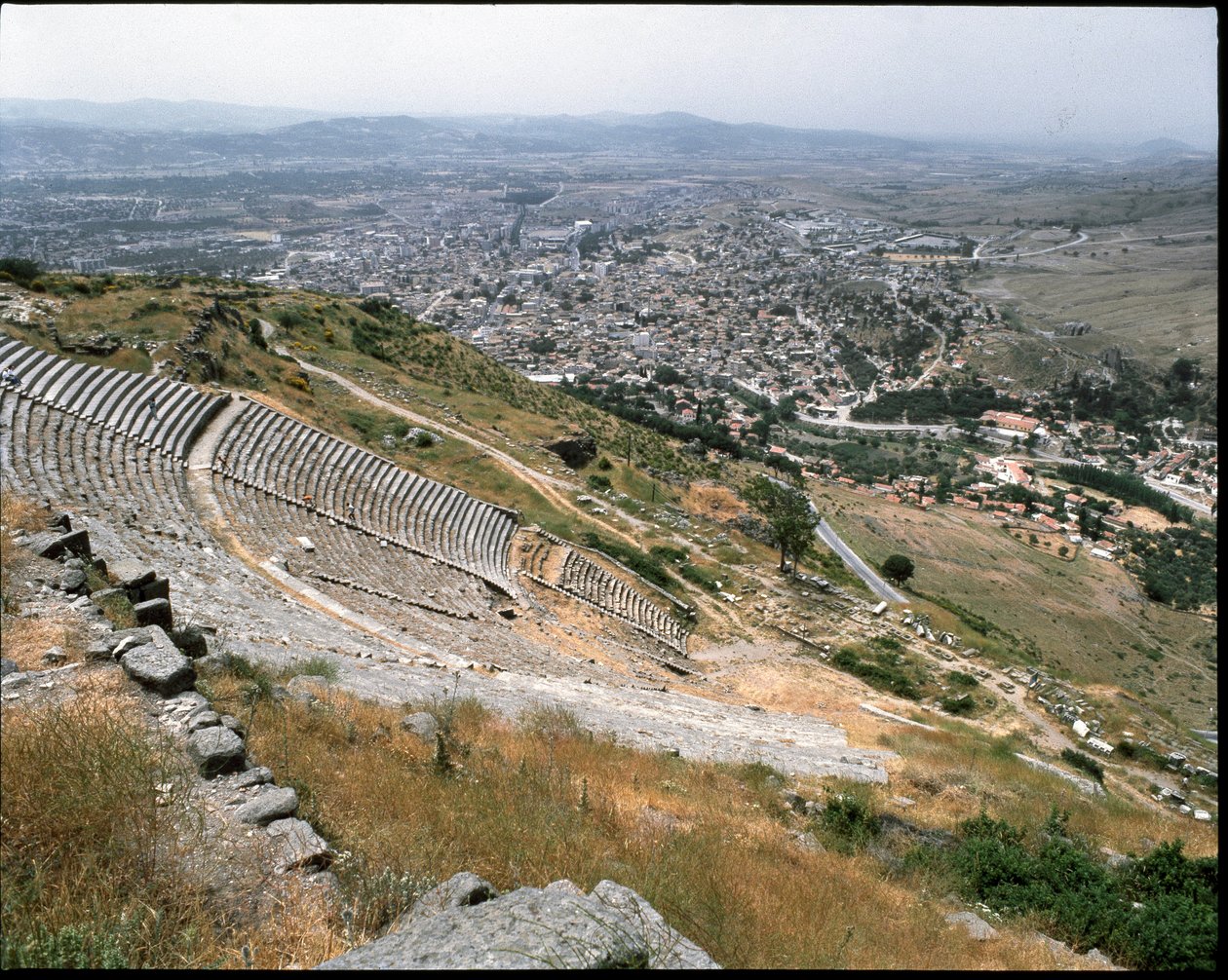 View of the Theatre by Roman