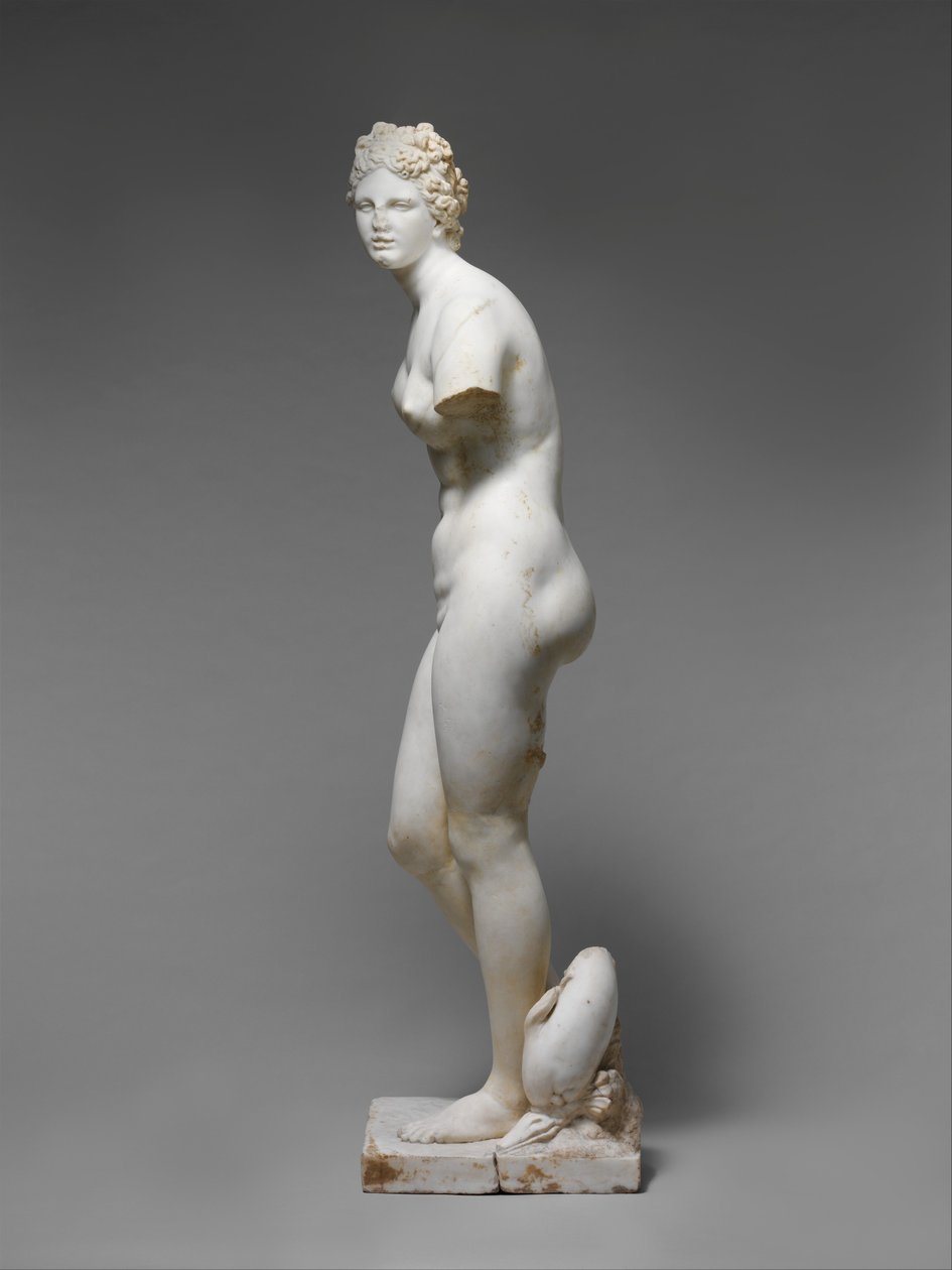 Statue of Aphrodite by Roman Roman