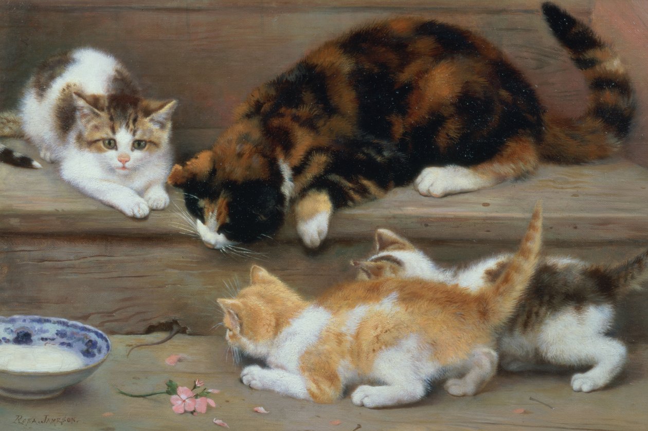 Cat and Kittens Chasing a Mouse by Rosa Jameson