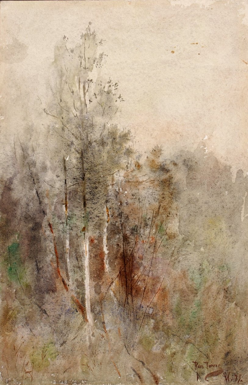 A Tree Study by Ross Turner