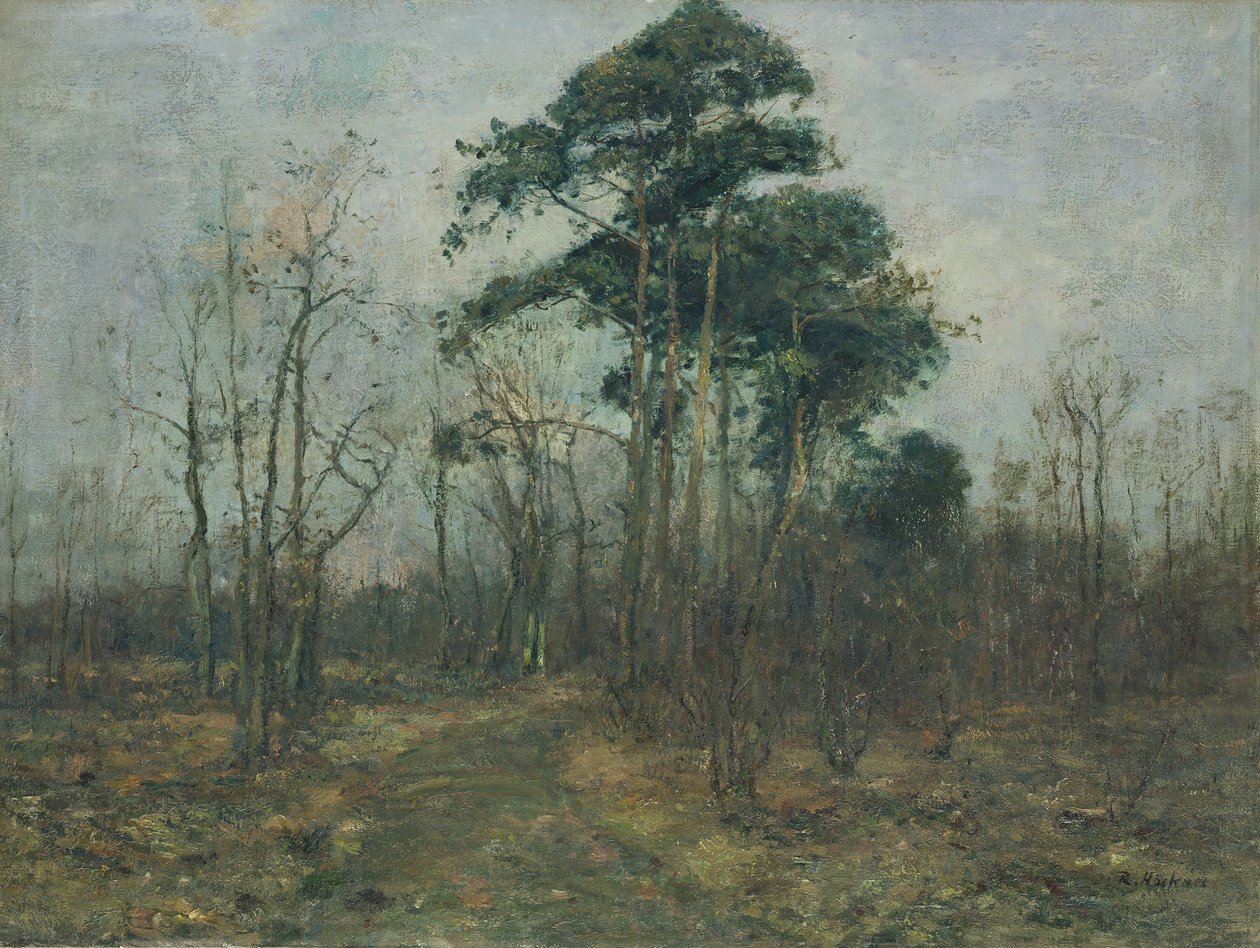 Park Landscape: Forest in Spring by Rudolf Hockner