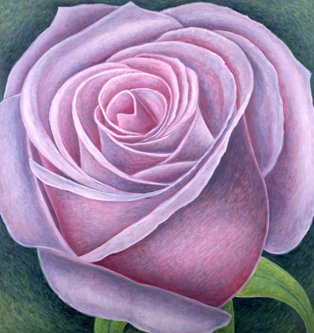 Big Rose by Ruth Addinall