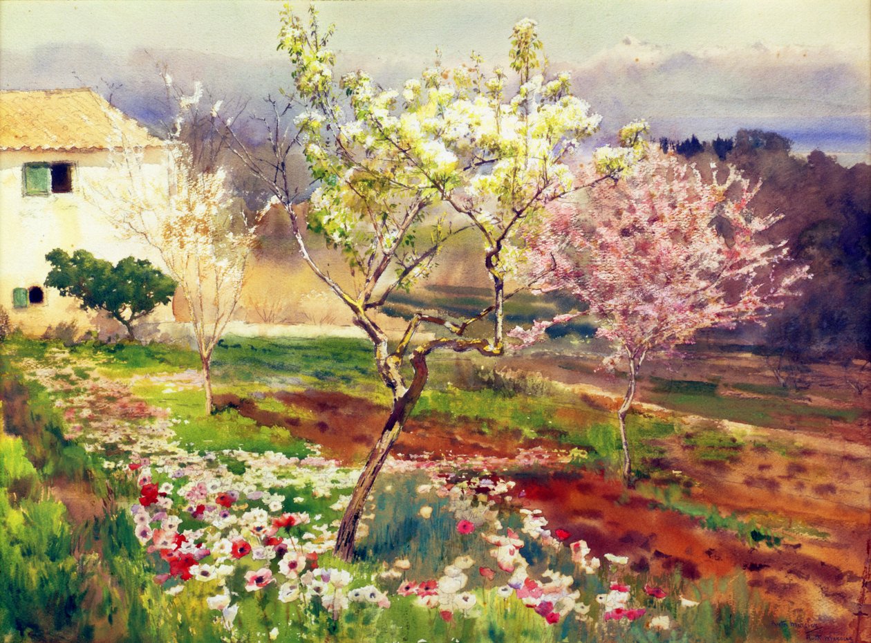 Springtime in France by Ruth Mercier