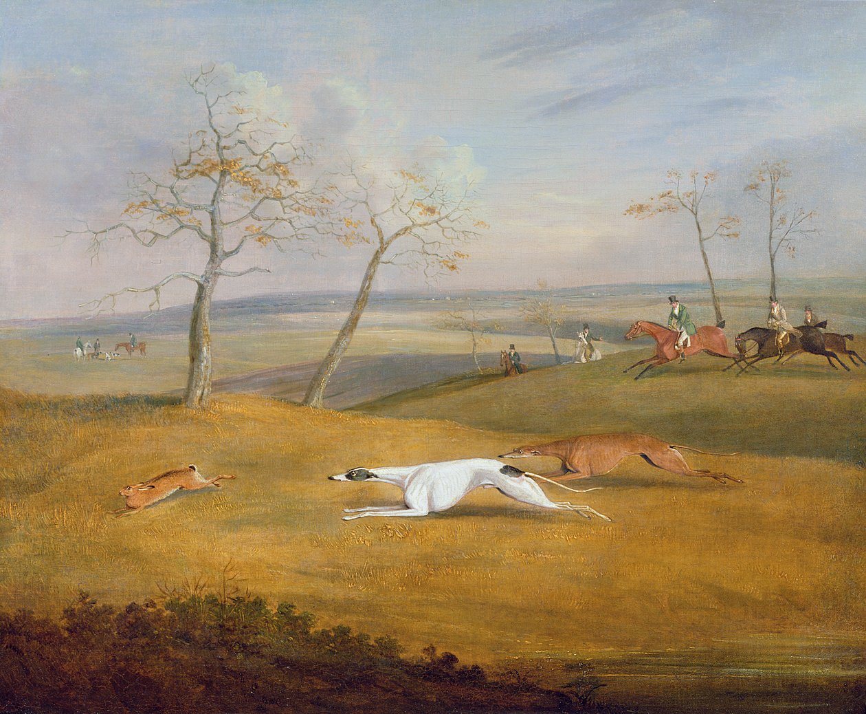 Coursing: the chase by Samuel Henry Alken