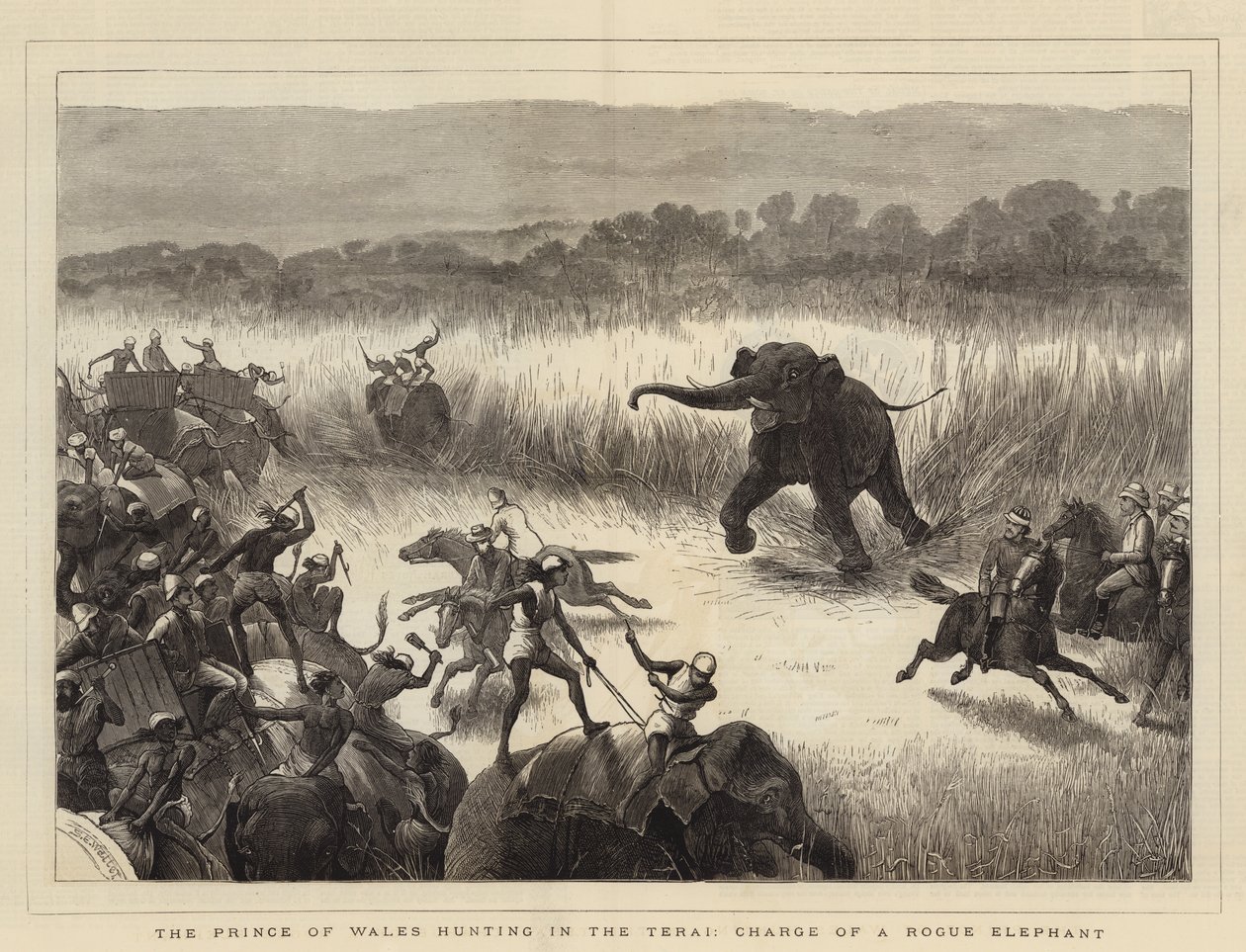 The Prince of Wales hunting in the Terai, Charge of a Rogue Elephant by Samuel Edmund Waller