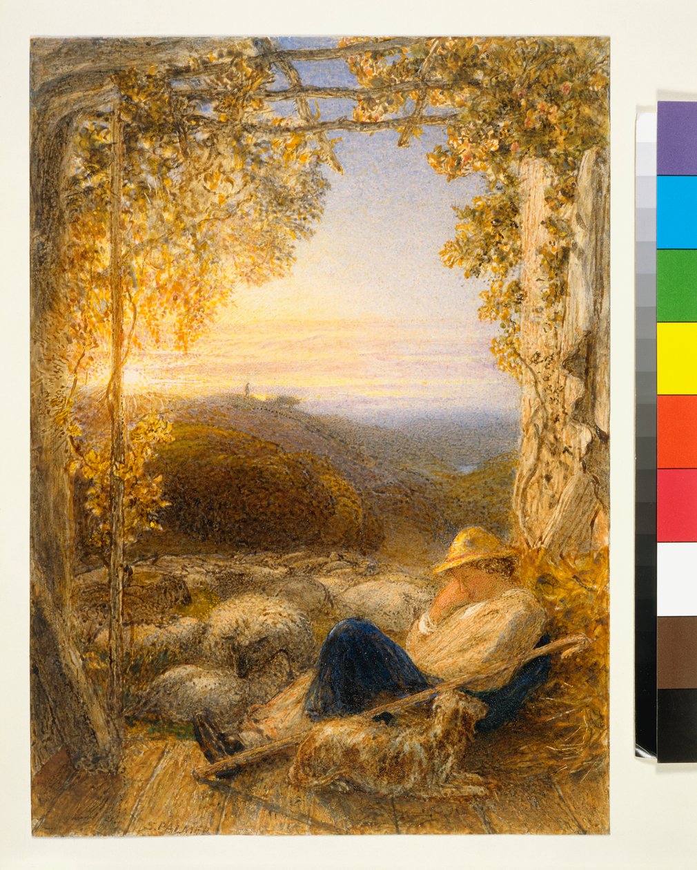 Sleeping Shepherd - Morning by Samuel Palmer