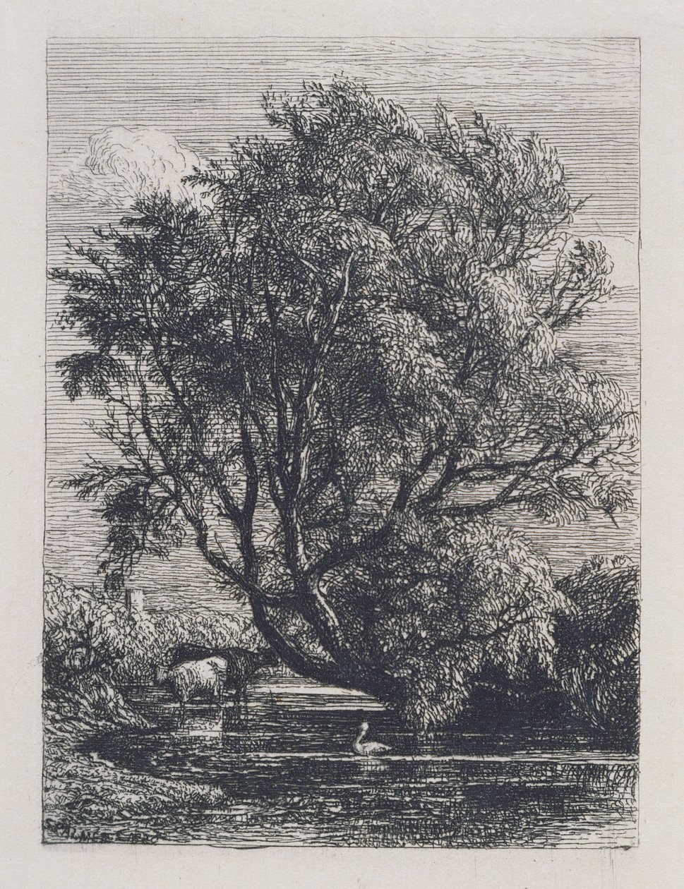 The Willow by Samuel Palmer