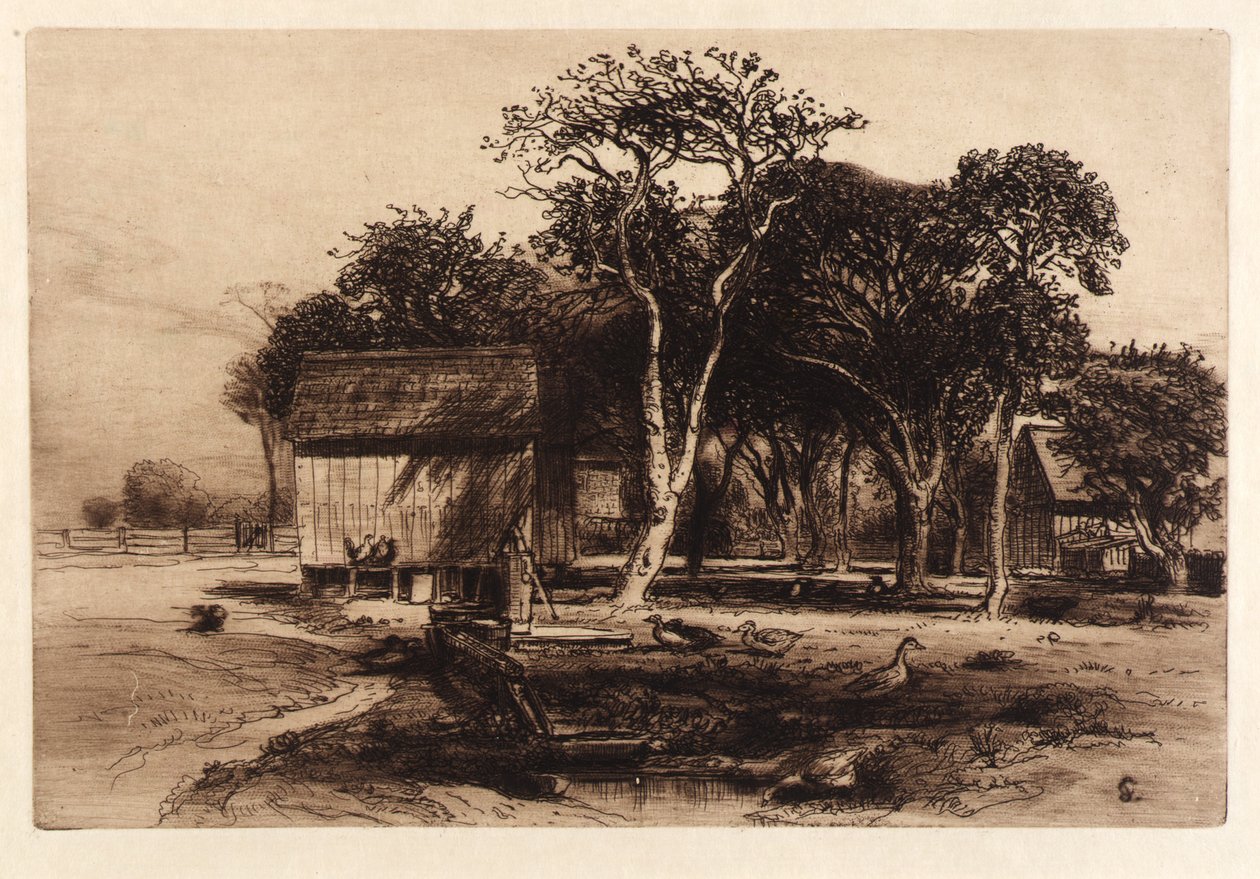 Untitled by Samuel Colman